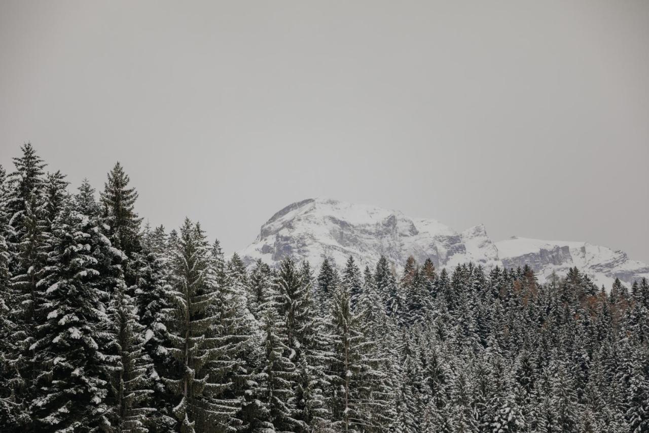 Hygna Chalets Reith im Alpbachtal Eksteriør bilde