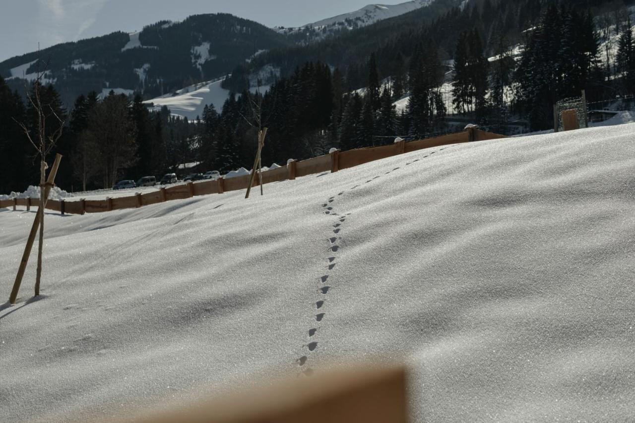 Hygna Chalets Reith im Alpbachtal Eksteriør bilde